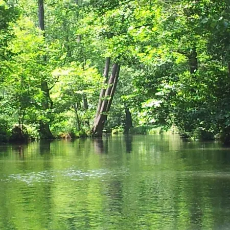 Appartement Doppelzimmer Im Spreewald *