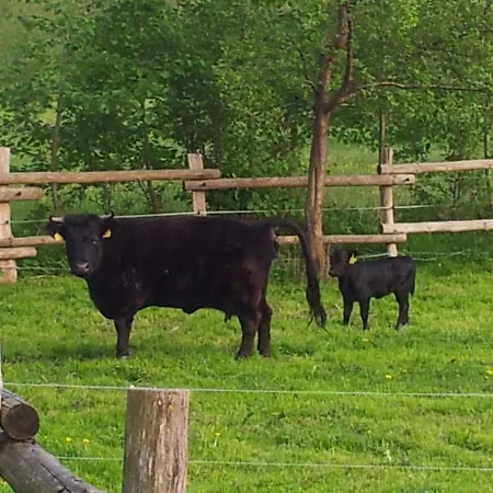 Appartamento Doppelzimmer Im Spreewald