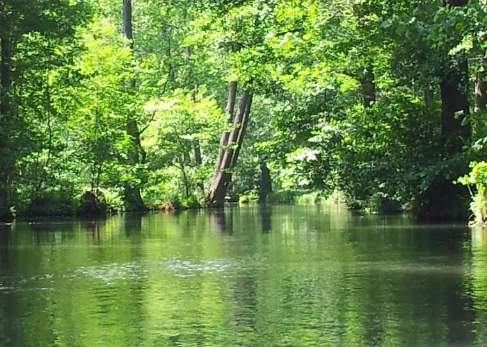 Lägenhet Doppelzimmer Im Spreewald *