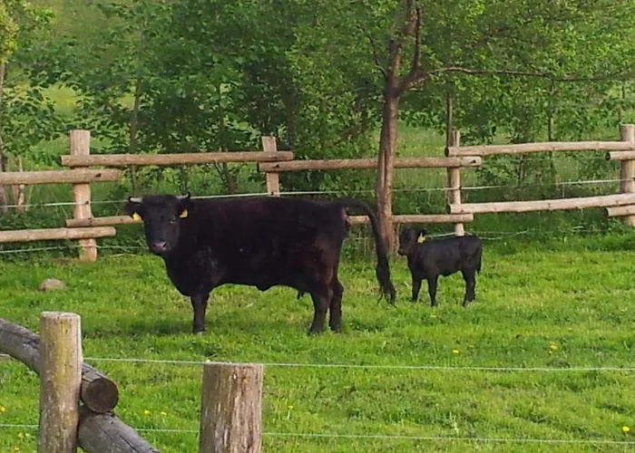 Lägenhet Doppelzimmer Im Spreewald